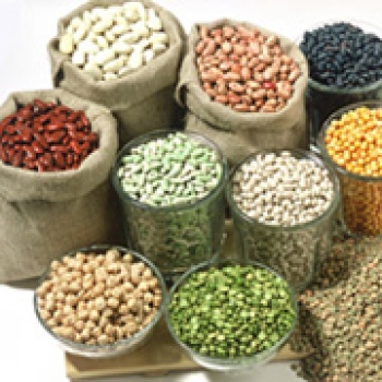 بوجاری حبوبات|Winnowing line machinery for all seeds and cereals
