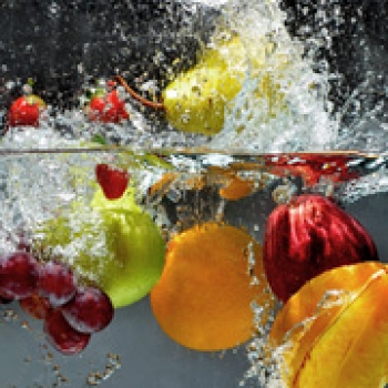 شستشو میوه و سبزیجات|Washer machinery fro Fruits, Vegetable, Herbs, Medical Planets